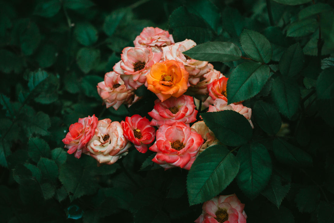 12 Interesting Benefits of Scented Candles For the Body, Mind, and Mood