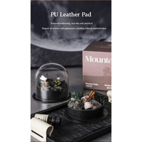 Wild Sanctuary Crystal Aromatherapy Diffuser – Natural Flame-Free Crystal Aroma Set with Essential Oil, Glass Dome & Gift Box – Zen-Inspired Home Decor & Long-Lasting Fragrance