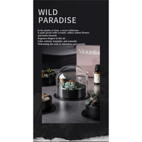 Wild Sanctuary Crystal Aromatherapy Diffuser – Natural Flame-Free Crystal Aroma Set with Essential Oil, Glass Dome & Gift Box – Zen-Inspired Home Decor & Long-Lasting Fragrance