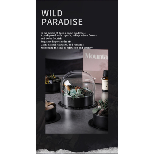 Wild Sanctuary Crystal Aromatherapy Diffuser – Natural Flame-Free Crystal Aroma Set with Essential Oil, Glass Dome & Gift Box – Zen-Inspired Home Decor & Long-Lasting Fragrance