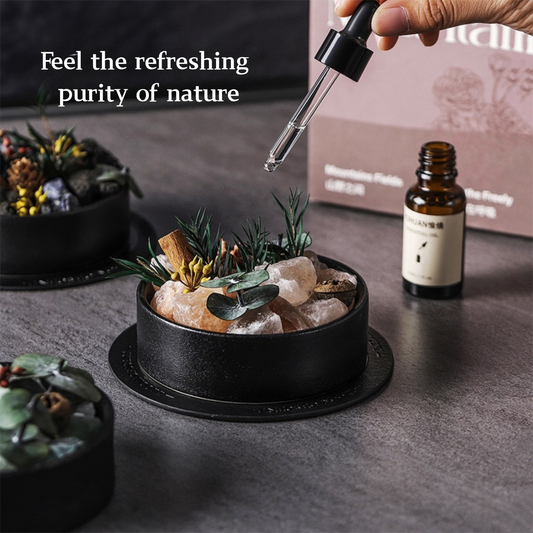 Wild Sanctuary Crystal Aromatherapy Diffuser – Natural Flame-Free Crystal Aroma Set with Essential Oil, Glass Dome & Gift Box – Zen-Inspired Home Decor & Long-Lasting Fragrance