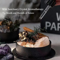 Wild Sanctuary Crystal Aromatherapy Diffuser – Natural Flame-Free Crystal Aroma Set with Essential Oil, Glass Dome & Gift Box – Zen-Inspired Home Decor & Long-Lasting Fragrance