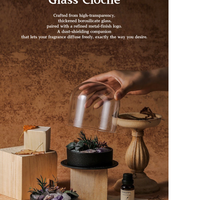 Wild Sanctuary Crystal Aromatherapy Diffuser – Natural Flame-Free Crystal Aroma Set with Essential Oil, Glass Dome & Gift Box – Zen-Inspired Home Decor & Long-Lasting Fragrance