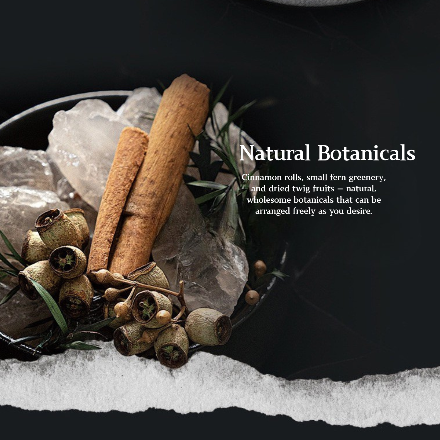 Wild Sanctuary Crystal Aromatherapy Diffuser – Natural Flame-Free Crystal Aroma Set with Essential Oil, Glass Dome & Gift Box – Zen-Inspired Home Decor & Long-Lasting Fragrance