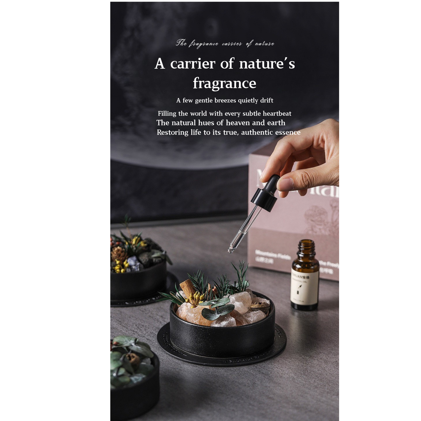 Wild Sanctuary Crystal Aromatherapy Diffuser – Natural Flame-Free Crystal Aroma Set with Essential Oil, Glass Dome & Gift Box – Zen-Inspired Home Decor & Long-Lasting Fragrance