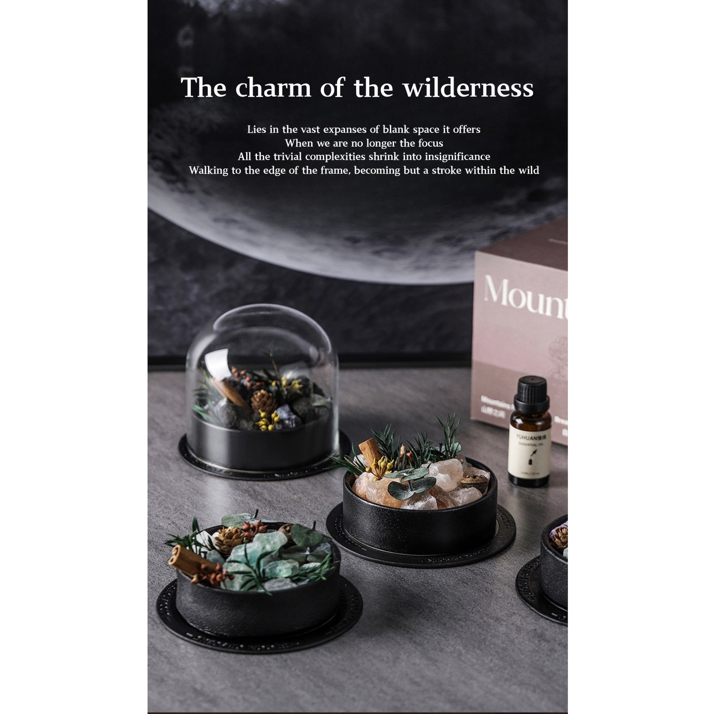 Wild Sanctuary Crystal Aromatherapy Diffuser – Natural Flame-Free Crystal Aroma Set with Essential Oil, Glass Dome & Gift Box – Zen-Inspired Home Decor & Long-Lasting Fragrance