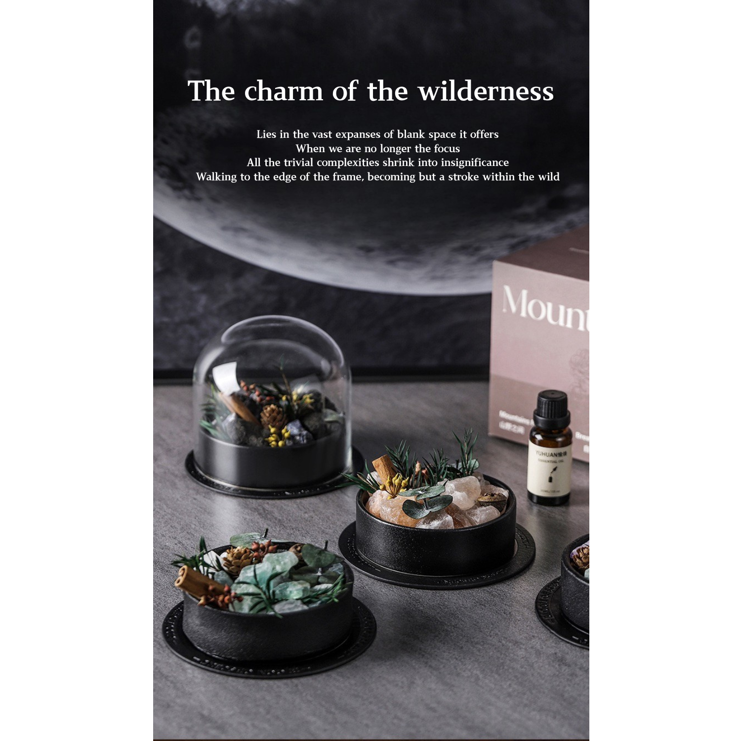 Wild Sanctuary Crystal Aromatherapy Diffuser – Natural Flame-Free Crystal Aroma Set with Essential Oil, Glass Dome & Gift Box – Zen-Inspired Home Decor & Long-Lasting Fragrance