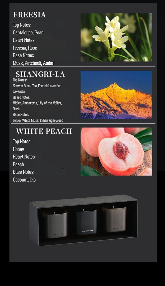 Luxury Matte Black Scented Candle – Soy Wax Aromatherapy Candle