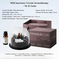 Wild Sanctuary Crystal Aromatherapy Diffuser – Natural Flame-Free Crystal Aroma Set with Essential Oil, Glass Dome & Gift Box – Zen-Inspired Home Decor & Long-Lasting Fragrance