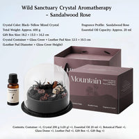 Wild Sanctuary Crystal Aromatherapy Diffuser – Natural Flame-Free Crystal Aroma Set with Essential Oil, Glass Dome & Gift Box – Zen-Inspired Home Decor & Long-Lasting Fragrance