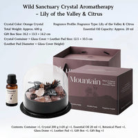 Wild Sanctuary Crystal Aromatherapy Diffuser – Natural Flame-Free Crystal Aroma Set with Essential Oil, Glass Dome & Gift Box – Zen-Inspired Home Decor & Long-Lasting Fragrance