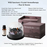 Wild Sanctuary Crystal Aromatherapy Diffuser – Natural Flame-Free Crystal Aroma Set with Essential Oil, Glass Dome & Gift Box – Zen-Inspired Home Decor & Long-Lasting Fragrance