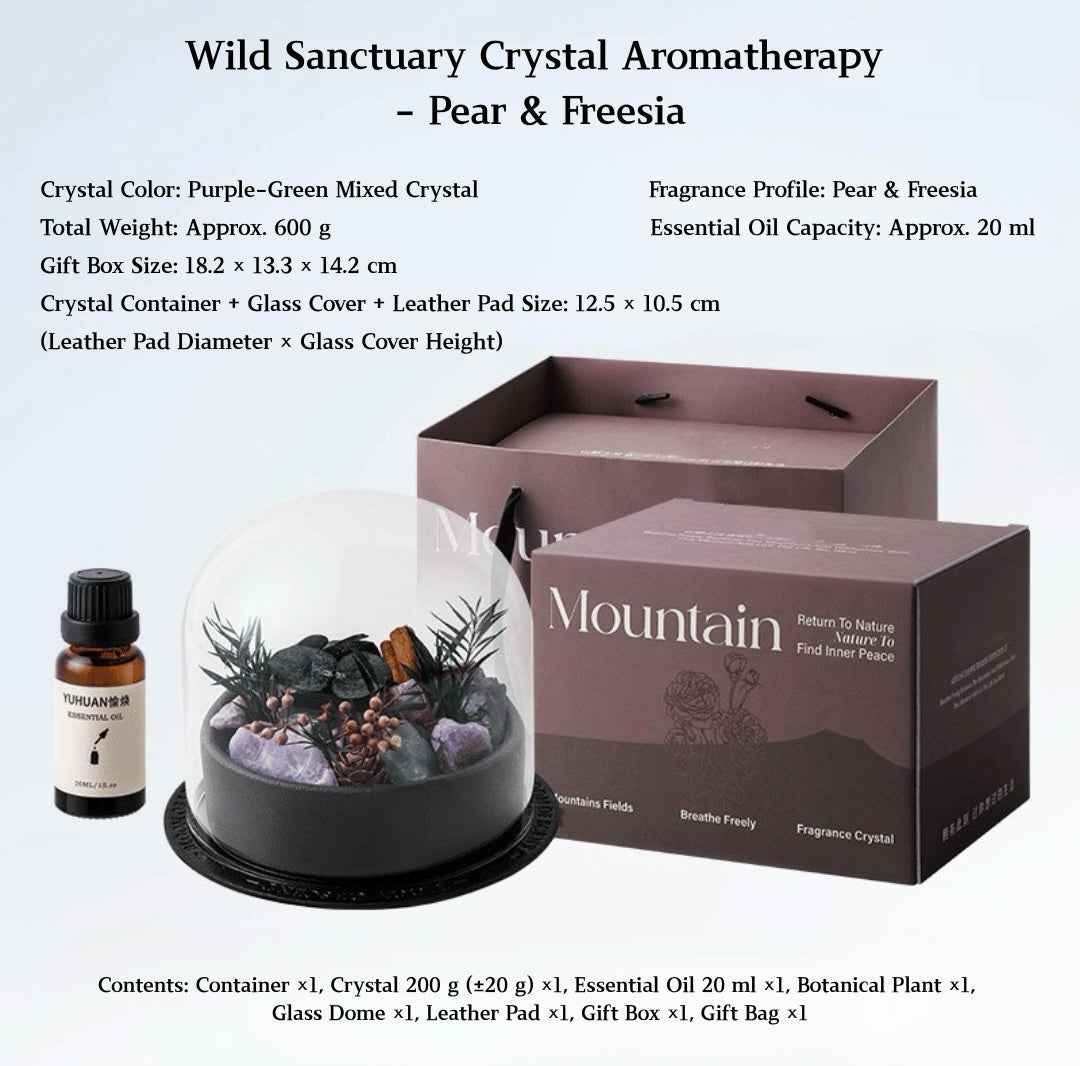 Wild Sanctuary Crystal Aromatherapy Diffuser – Natural Flame-Free Crystal Aroma Set with Essential Oil, Glass Dome & Gift Box – Zen-Inspired Home Decor & Long-Lasting Fragrance