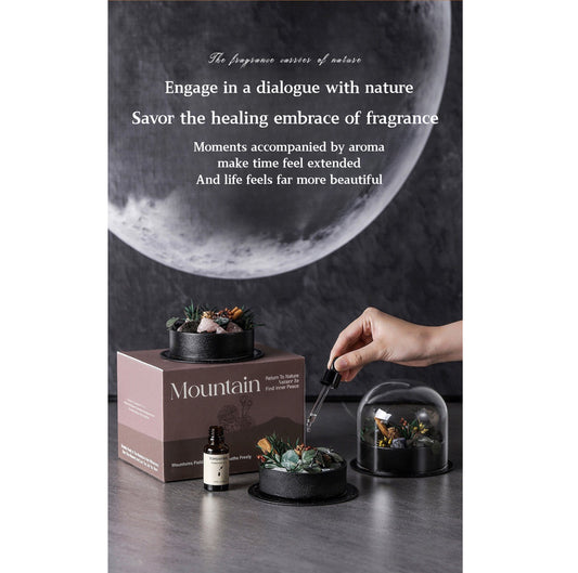 Wild Sanctuary Crystal Aromatherapy Diffuser – Natural Flame-Free Crystal Aroma Set with Essential Oil, Glass Dome & Gift Box – Zen-Inspired Home Decor & Long-Lasting Fragrance