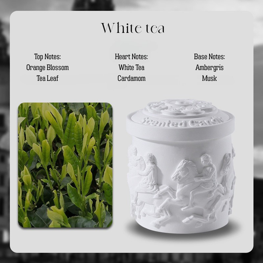 ARVEA Parthenon Relief Scented Candle – Handcrafted Soy Wax Aromatherapy Candle with Greek Temple Sculpture Design for Home Décor