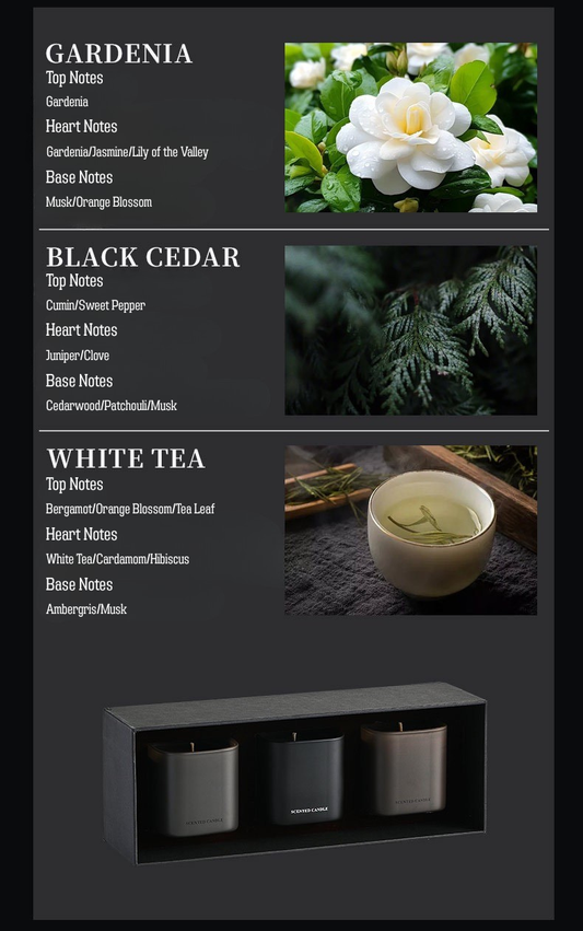 Luxury Matte Black Scented Candle – Soy Wax Aromatherapy Candle